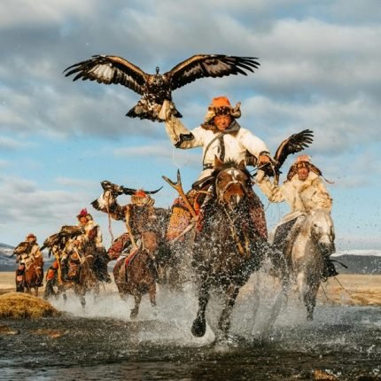 Adlerjaeger-Mongolie-.
